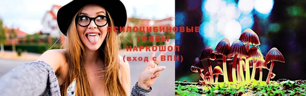 хмурый Алексеевка