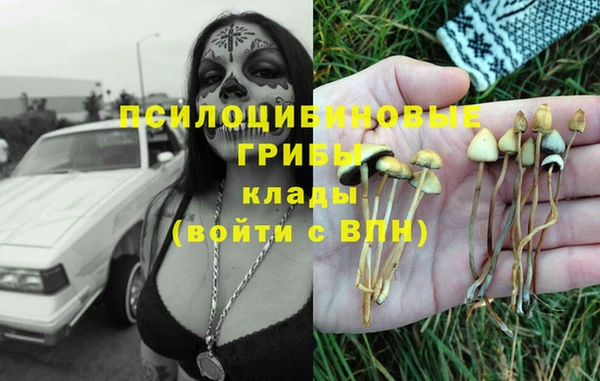 кокс Алзамай