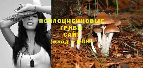 кокс Алзамай