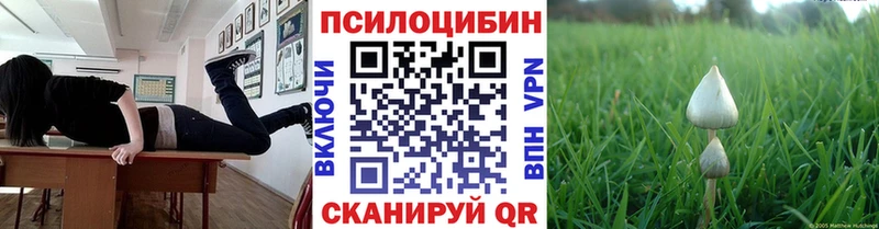 darknet состав  Бронницы  Псилоцибиновые грибы Psilocybe  где можно купить наркотик 